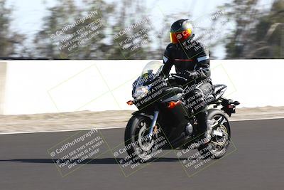 media/Feb-16-2025-TrackDaz (Sun) [[85eae43da9]]/C Group/140pm (Wheelie Dip)/